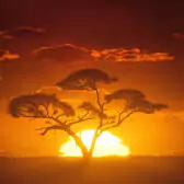 morning sunrise photo